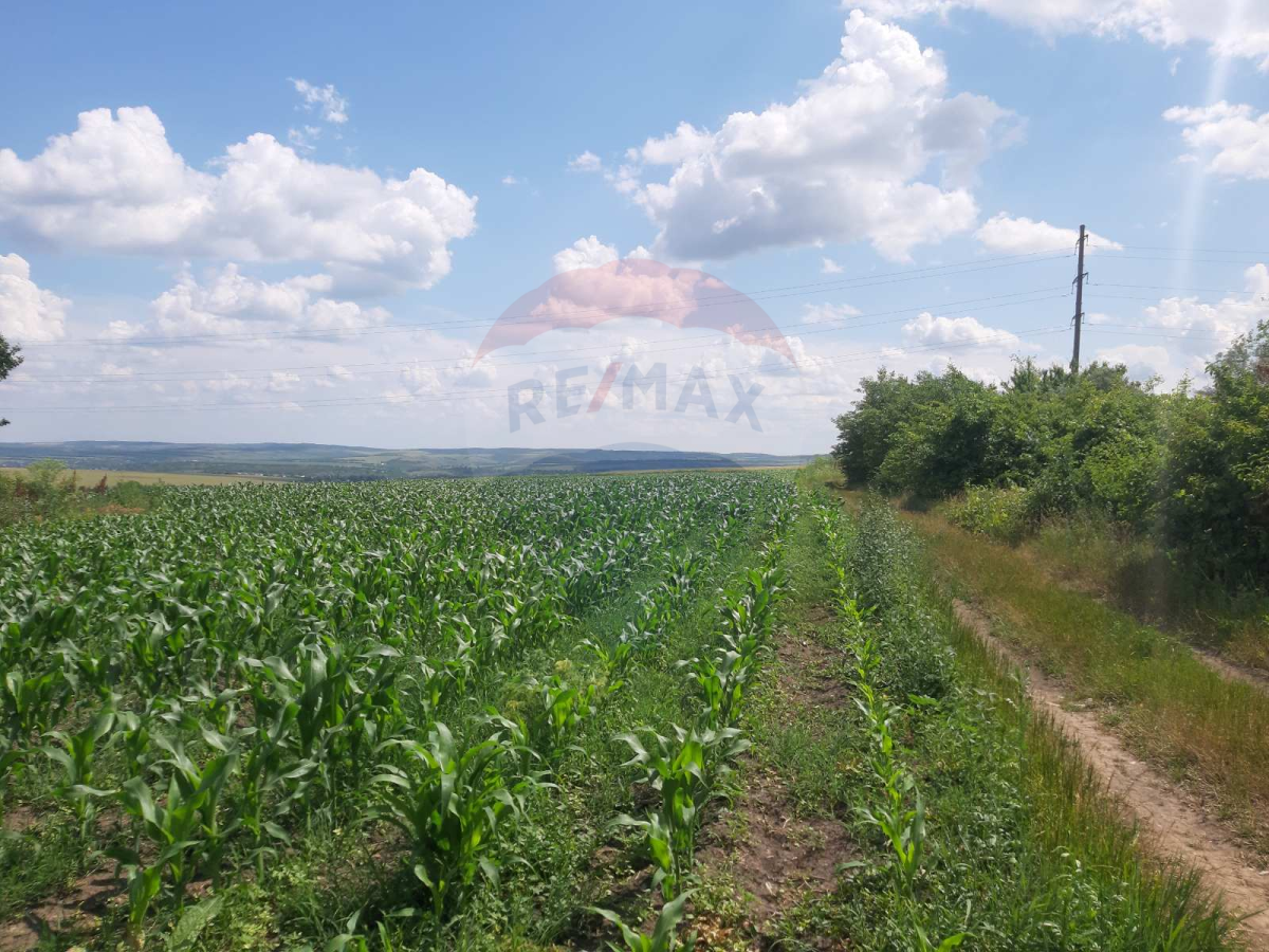 32.210 EUR