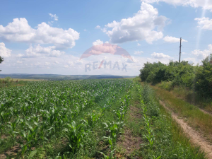 32.210 EUR