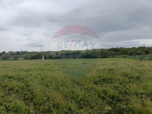 654.000 EUR