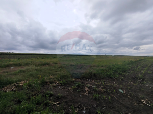 10.500 EUR
