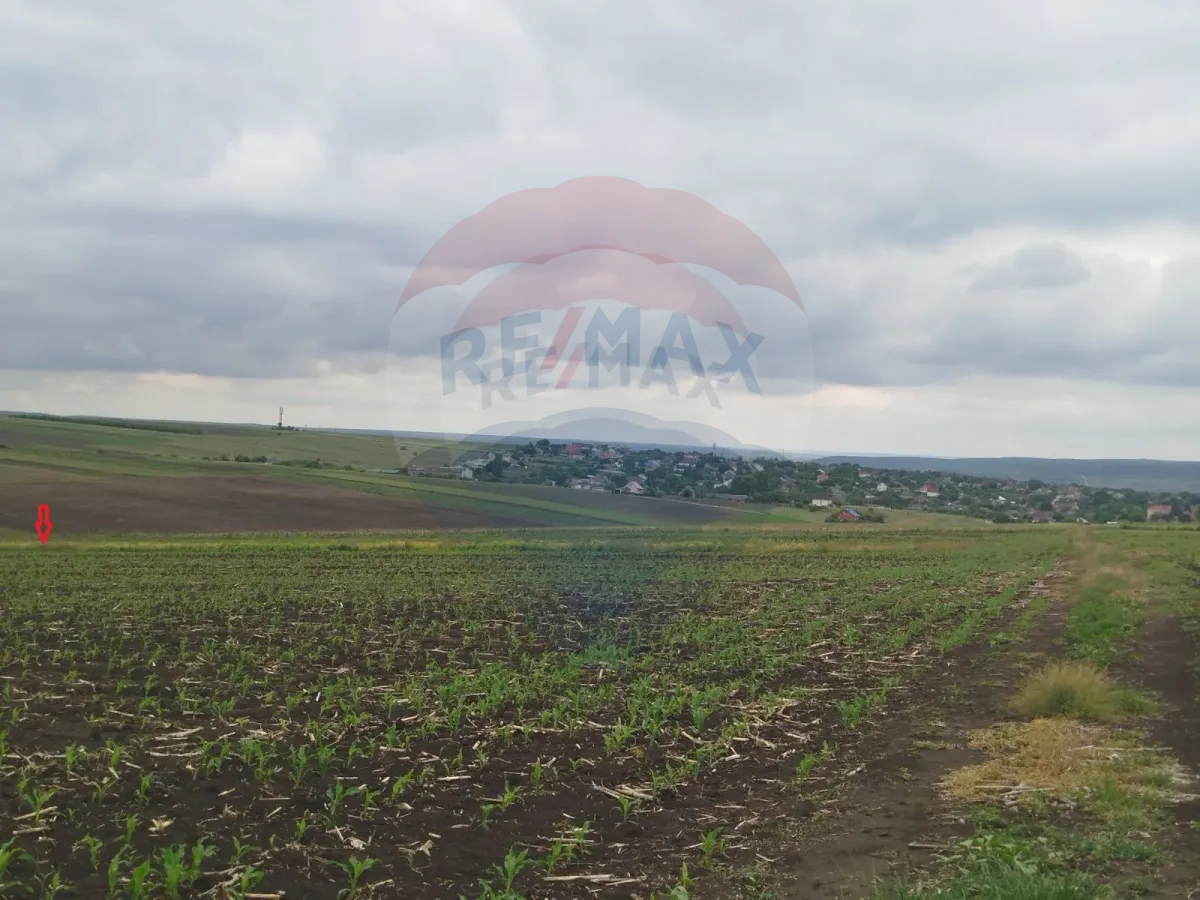 6.000 EUR