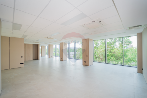 3.300 EUR