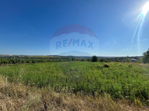 12.000 EUR