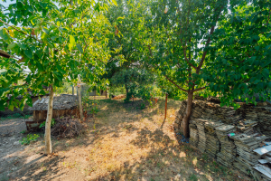 38.500 EUR