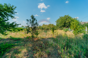 38.500 EUR