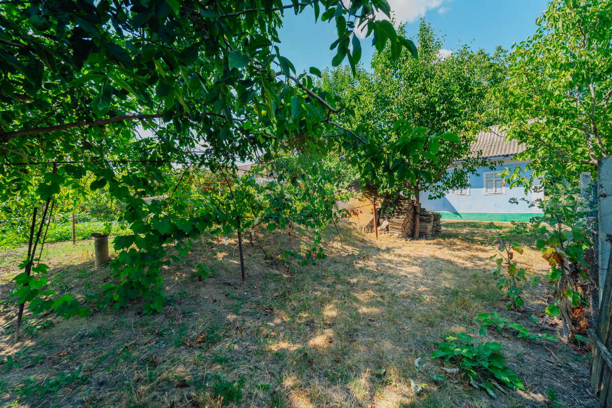 38.500 EUR