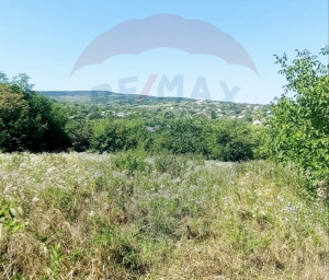 15.000 EUR