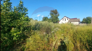 10.000 EUR