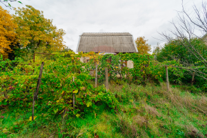 26.000 EUR