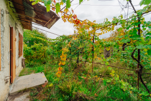 26.000 EUR