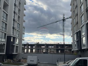 81.459 EUR