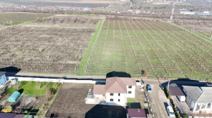 149.000 EUR