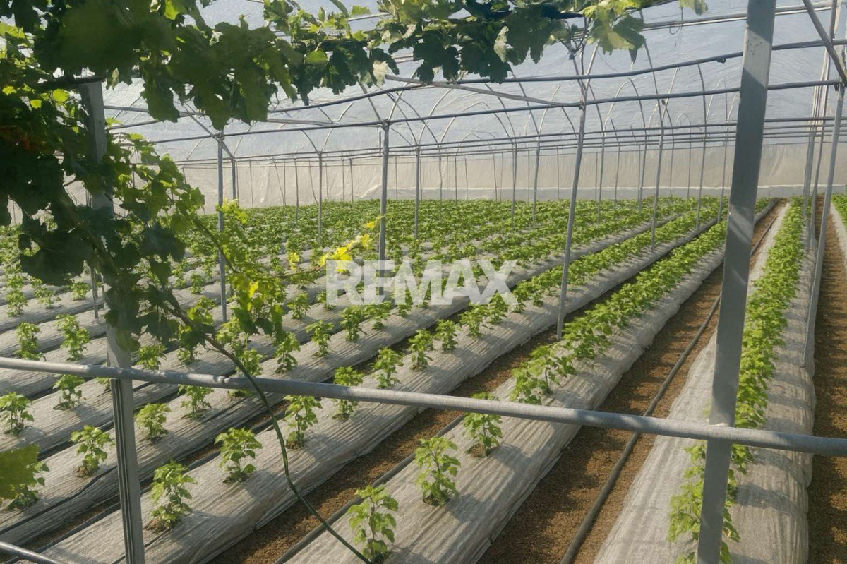 86.000 EUR