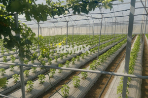 86.000 EUR