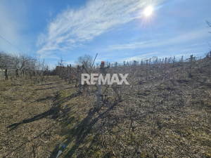 13.000 EUR