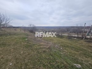 290.000 EUR