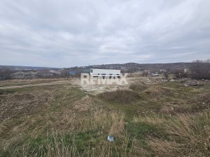 290.000 EUR