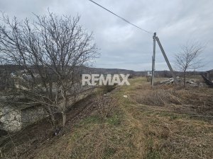 290.000 EUR