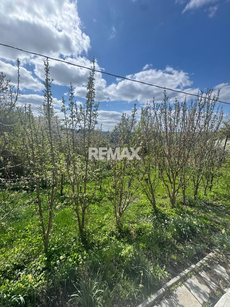 135.500 EUR