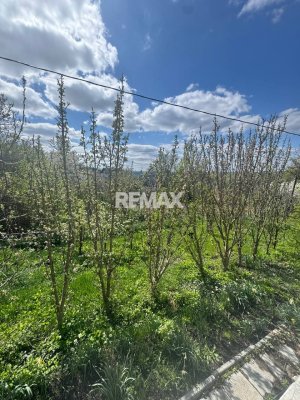 135.500 EUR
