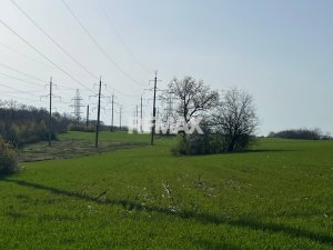 11.000 EUR