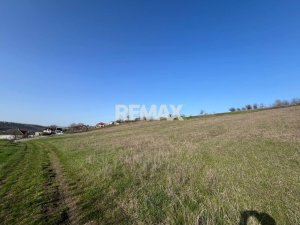 20.000 EUR