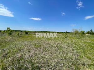 45.000 EUR