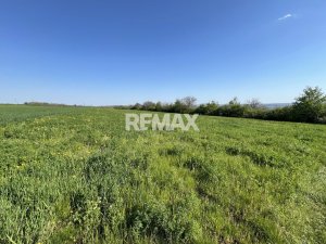 20.000 EUR