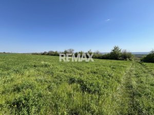 20.000 EUR