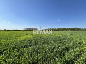 12.000 EUR