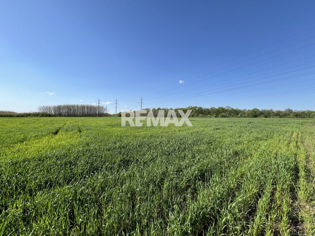 12.000 EUR