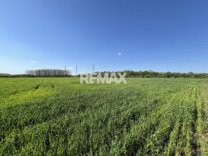 12.000 EUR