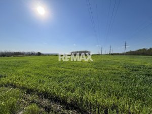 12.000 EUR