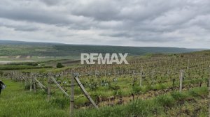 6.250 EUR