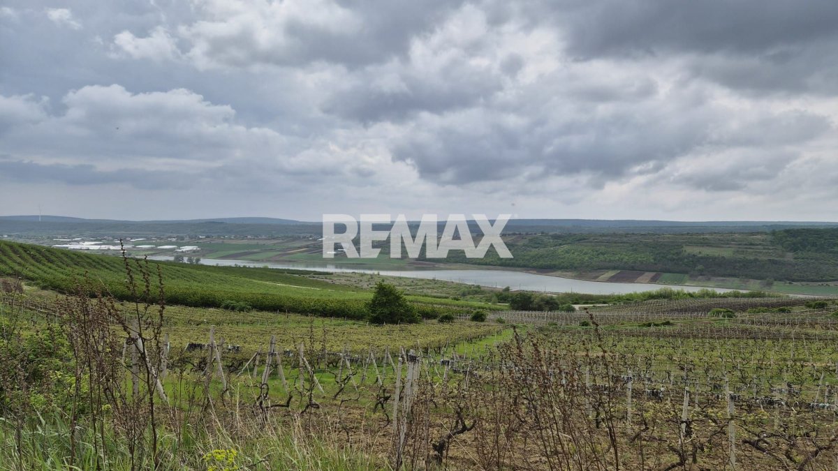 7.250 EUR