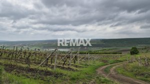 6.500 EUR