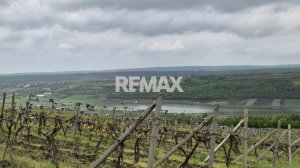 7.750 EUR