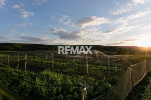 87.000 EUR